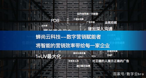 蟬尚云科技與時粹科技 攜手賦能企業數字化轉型新篇章